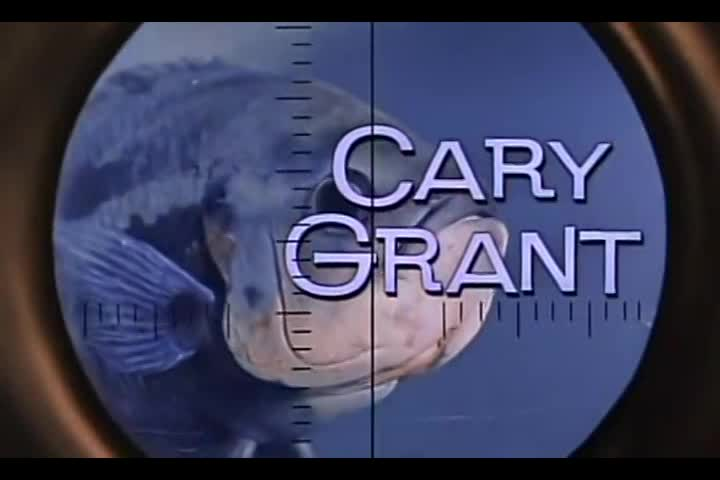 Thumbnail image for Operation Petticoat