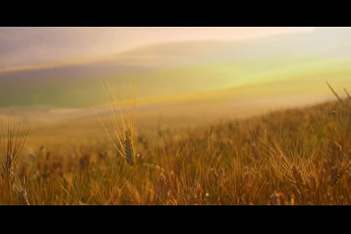 Thumbnail image for The Spoken Word- 4th of July - Independence Program