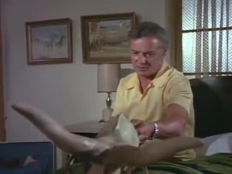 Thumbnail image for Gargoyles, 1972