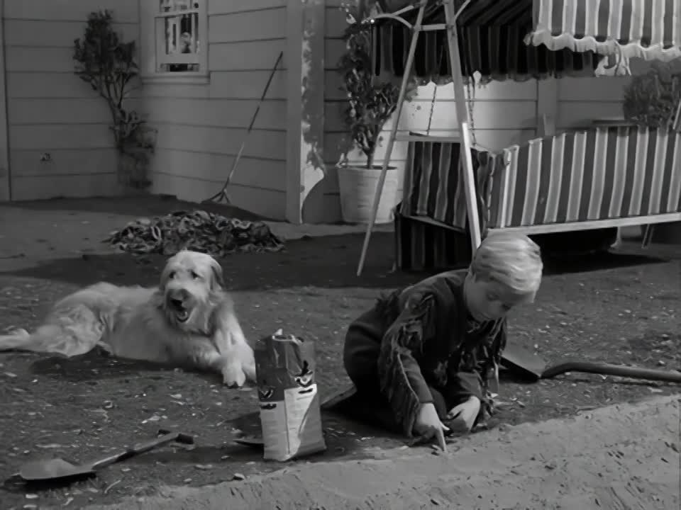 My Three Sons - Chips Harvest Thanksgiving