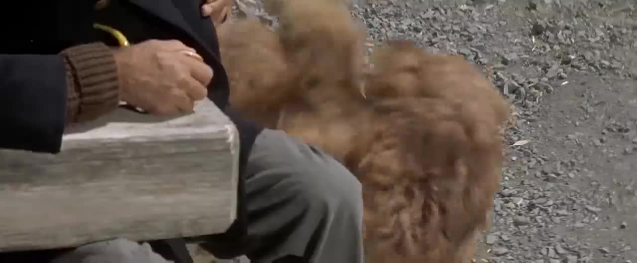 Thumbnail image for Dear Brigitte