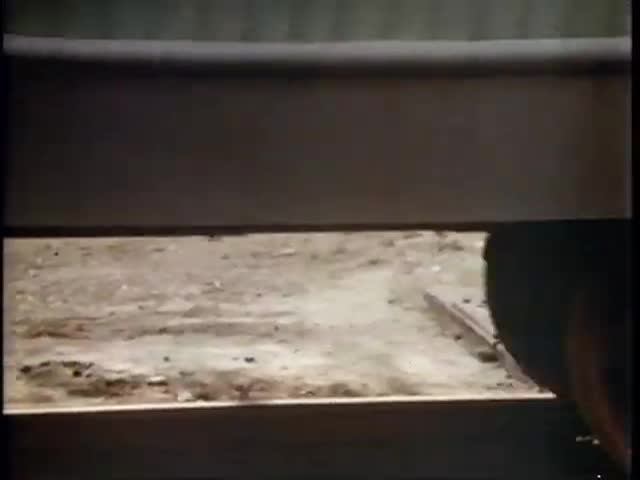 Thumbnail image for The Invasion of Johnson County - 1976