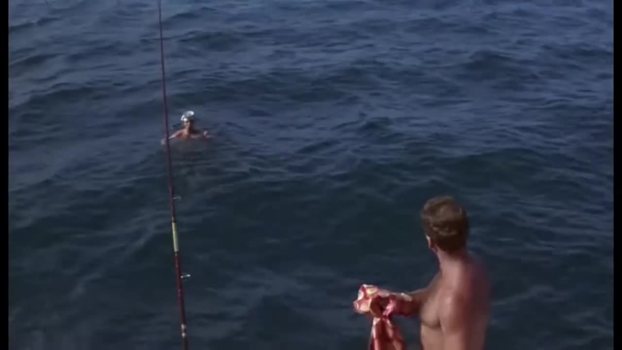 The Glass Bottom Boat