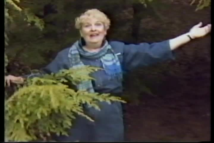 Ring Around The World Thanksgiving