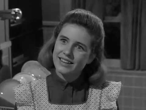 Thumbnail image for The Patty Duke Show - The Genius