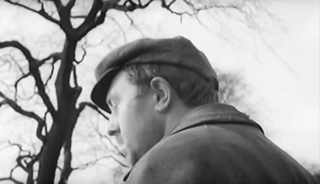 Whistle Down the Wind