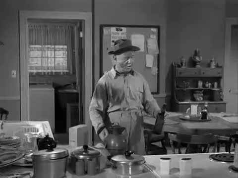 Thumbnail image for  My Three Sons Season 1, Episode 2